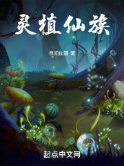 大江东去小说