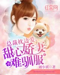 中国好声音第一季完整版免费观看
