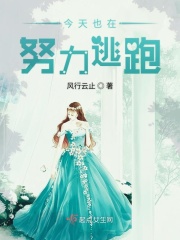 sis文学网免费小说