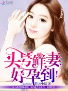 他是谁电视剧免费观看天堂