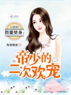 谍战剧鹞子免费观看