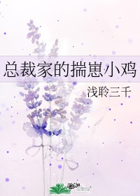一念淮水过苏城大结局