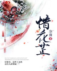 罪恶之城小说