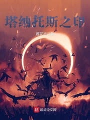 在线播放五十路乱中文