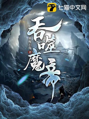 纯h 小说