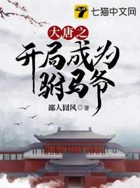 盛夏晚晴天txt免费下载