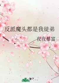 静香本子恶魔护照