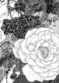 开始推理吧免费观看完整版