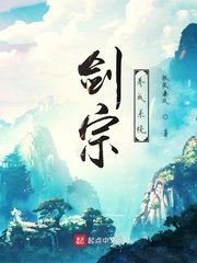 窗纱