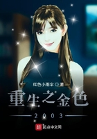 我的军统生涯小说