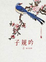 午夜第一页8050网