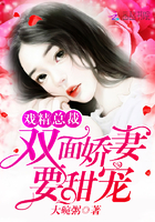 墓道电视剧全集免费观看