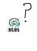 人民的民意