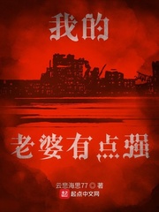 在暴雪时分电视剧在线观看全集免费播放