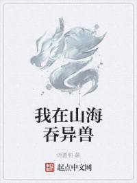 少女之心 小说