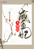大白鹭