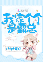 口袋48电脑版下载