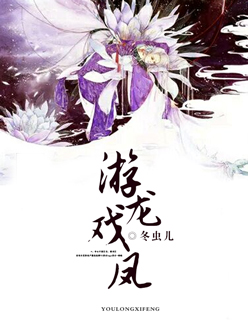 樊笼小说免费阅读