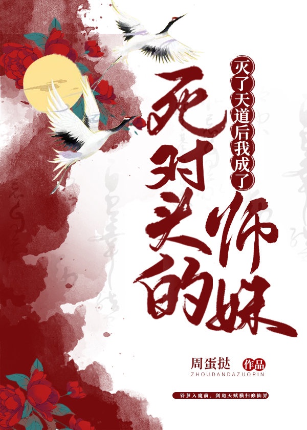 侠岚片尾曲