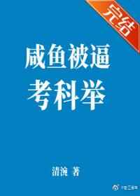 红楼梦h版