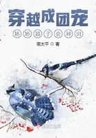 南方有佳人