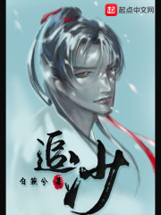 我老婆是海贼女帝