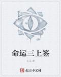 梦华录更新时间