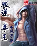 雯雯小说