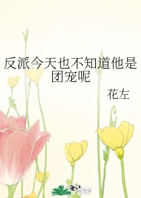午夜精华