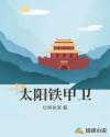 少年宾文全文房东太太
