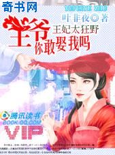 手机成视频在线播放