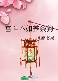 太阳黑子的小说