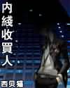 盗情小说