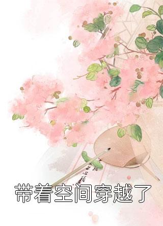 pans内部