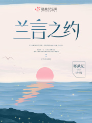 神奇宝贝后宫系统