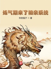 董小芸老魏小说阅读