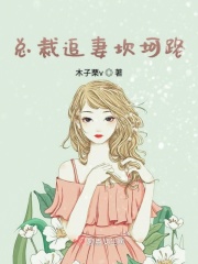 向井恋sw331在线播放