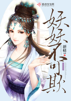 激情都市小说