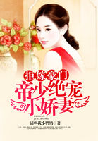 魔兽世界什么职业好