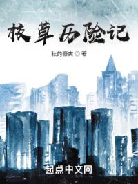 姬骑士征服战争无删版