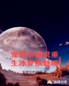 日皮视频直播