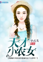天堂网2024最新