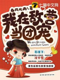 我的特一营电视剧免费观看全集