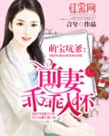 爱情公寓第二季高清完整免费观看