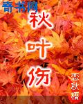 女人的下半身