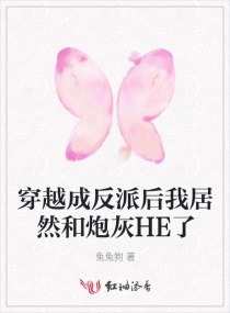 手机不用播放器的a站