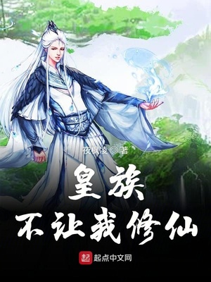 年轻的未婚妻2