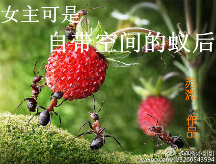 看片网