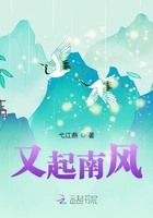 美国式禁忌全集