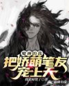 老将军和丫头h